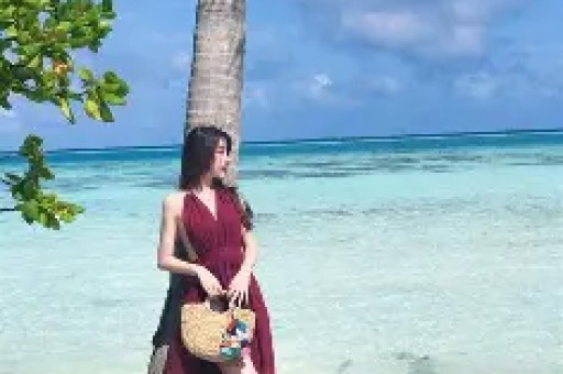 明星网红偷逃税让打工人情何以堪
